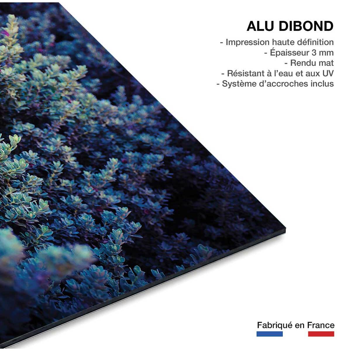 Tableau macro plante grasse collector Tableau alu Dibond