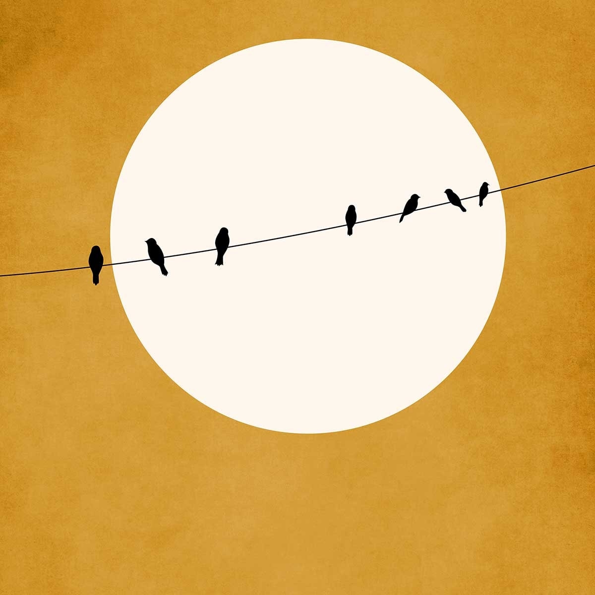 Tableau dessin Gazouillis Tableau alu Dibond