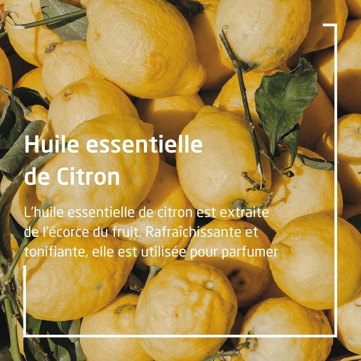 WELEDA - Huile vivifiante au Citrus - 100 ml