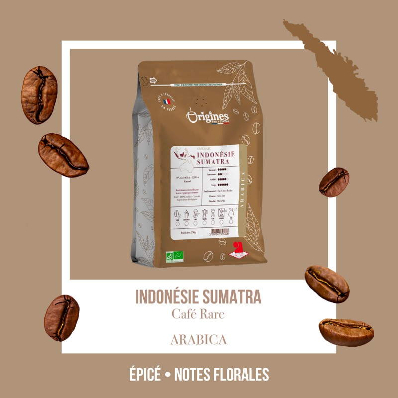 Café rare Bio - Indonésie Sumatra - Grain 250g