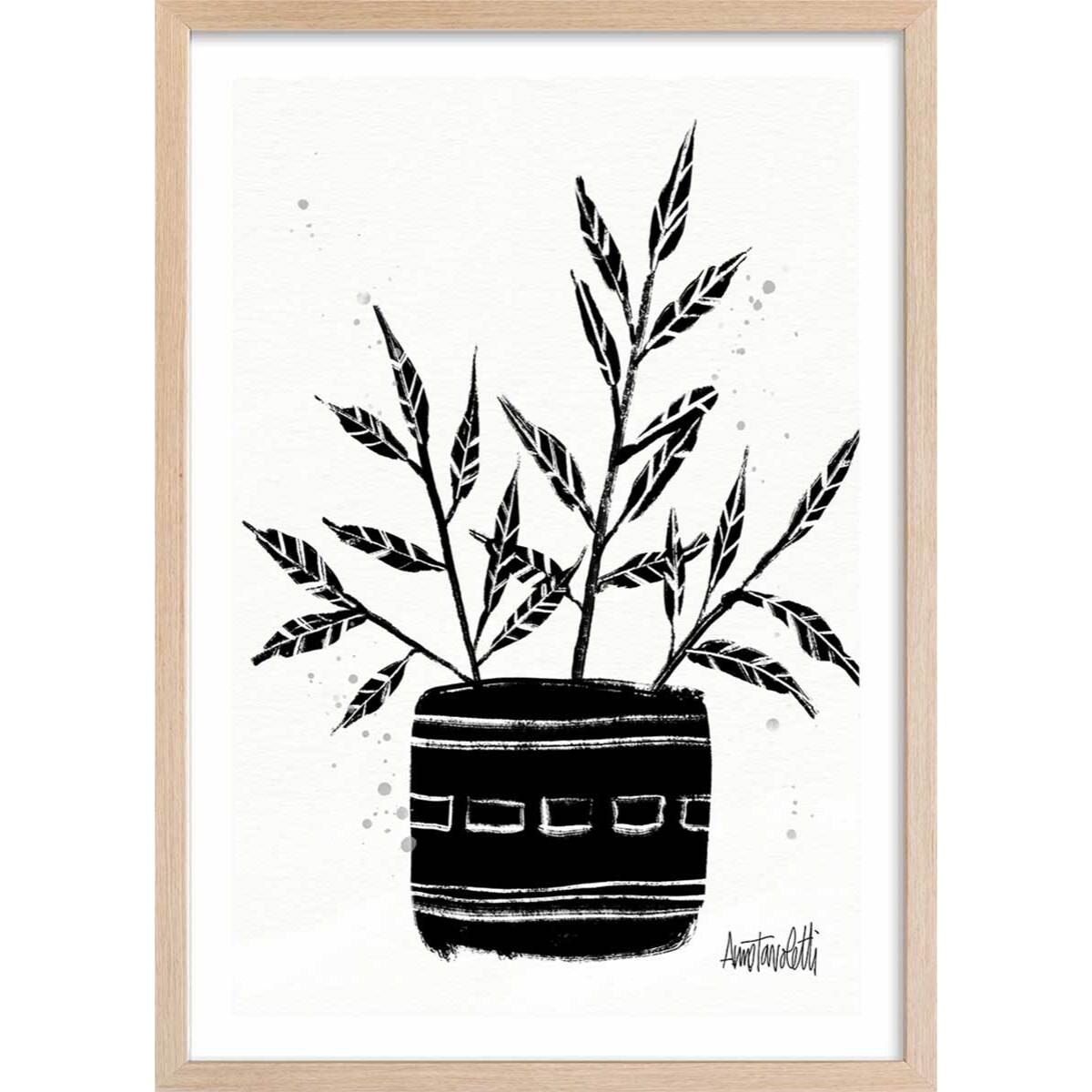 Illustration Botanique et Poterie terre cuite Affiche + cadre en bois - Chêne