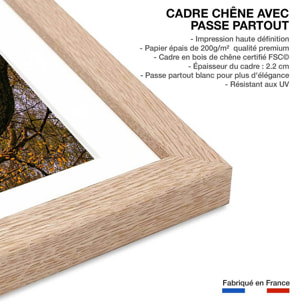 Affiche Au bout du lac, le saut Affiche sous cadre bois