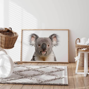Affiche enfant bébé koala  Affiche sous cadre bois