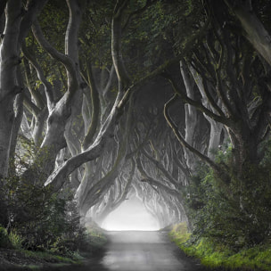 Tableau route de l'irréel Tableau alu Dibond