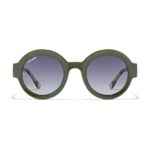 Gafas De Sol D. Franklin 913 Shiny   Gradient Smoke