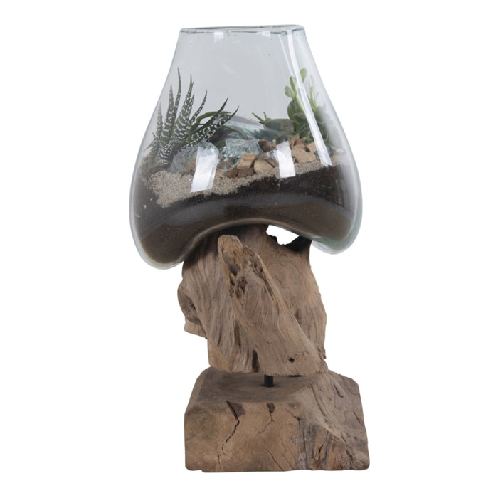 Terrario San Marino in vetro a goccia su base in radice di teak 18x15xh25 cm