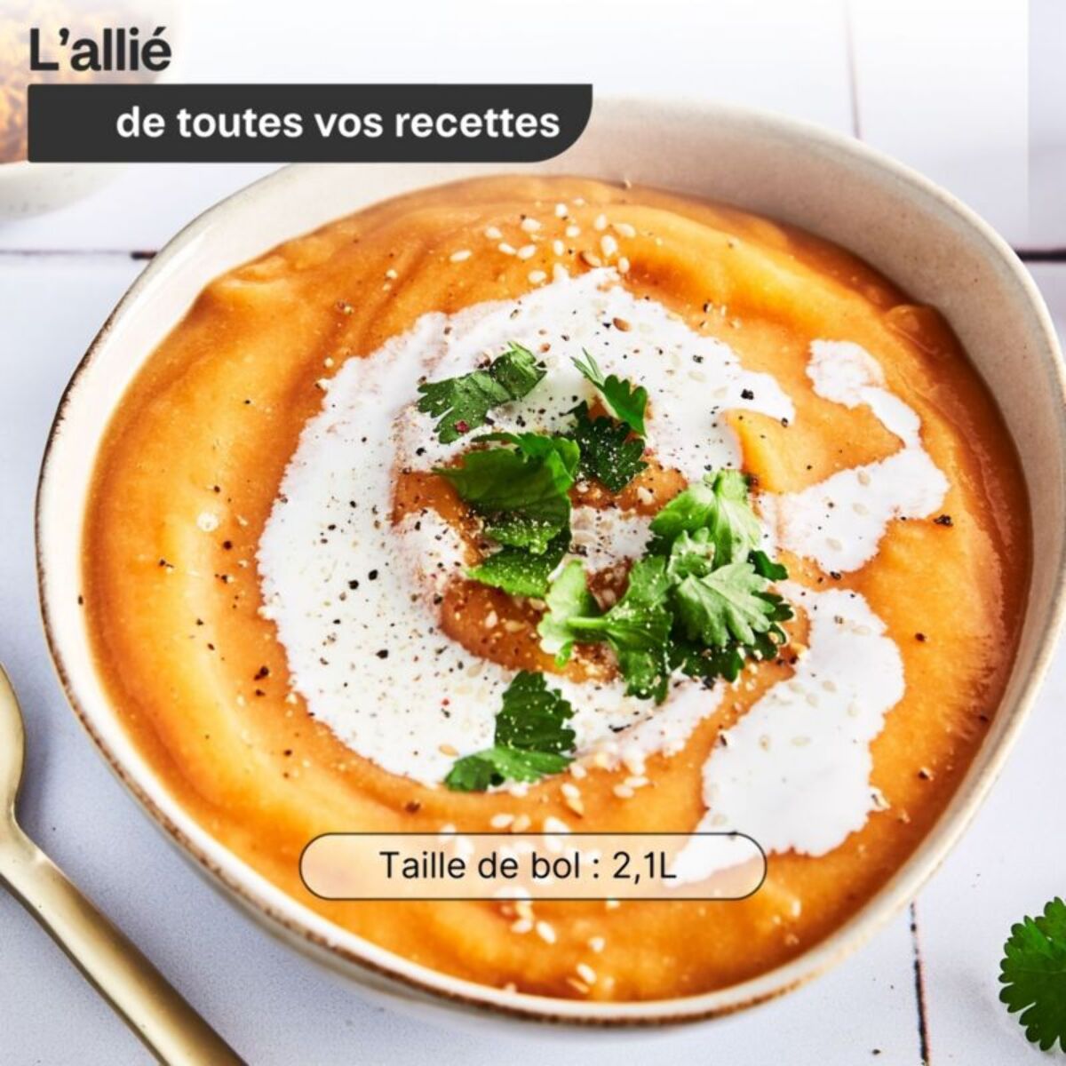 Blender MAGIMIX Power 3 Chrome Mat 11641