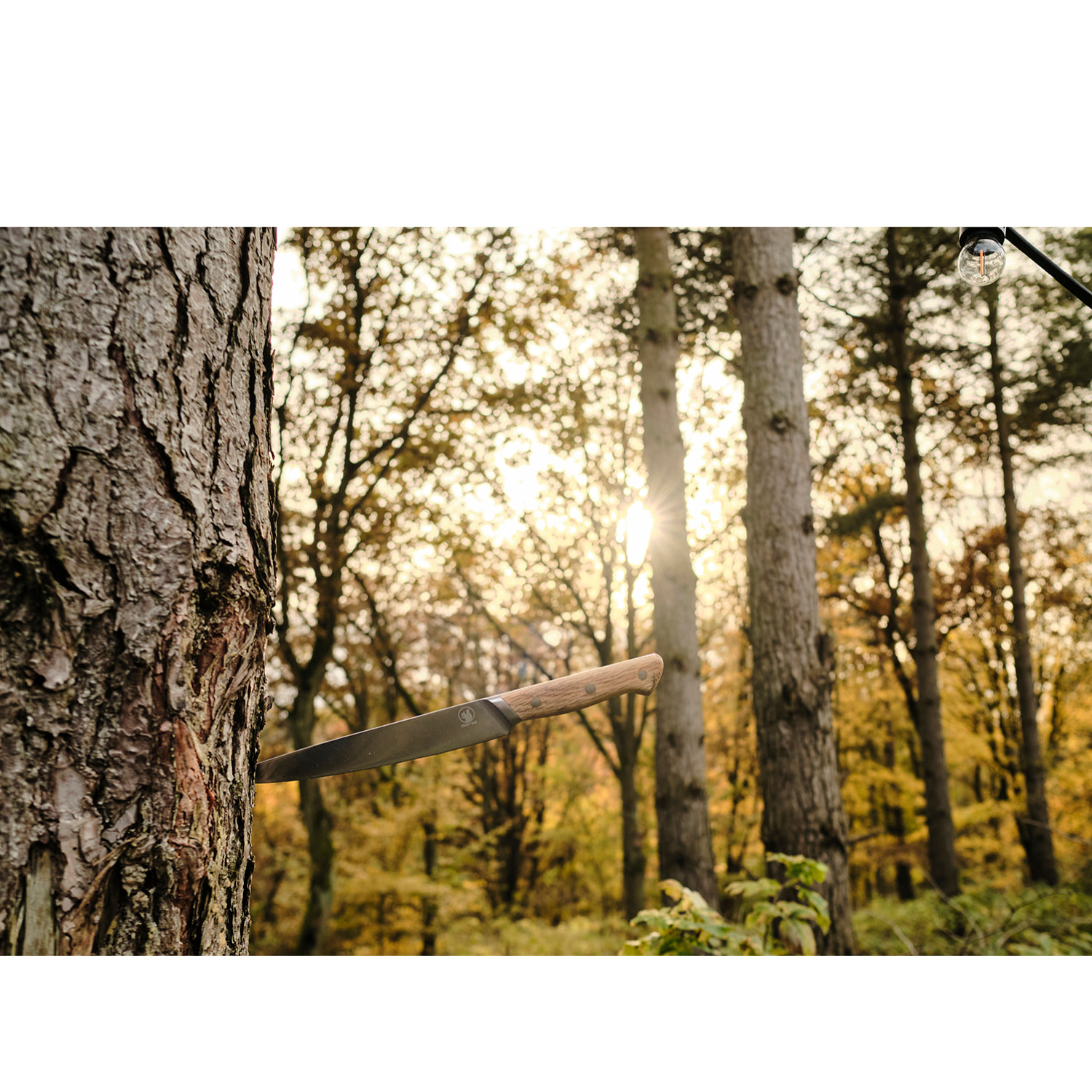 Couteau à filet Foresta en Chêne/Acier inoxydable