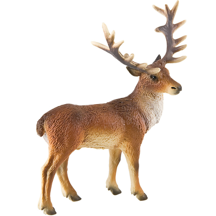 Animali della Foresta/Cervo Rosso