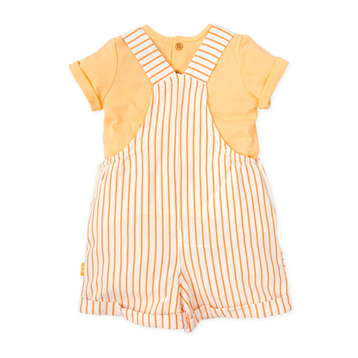 Conjunto 2 pzas. - Naranja