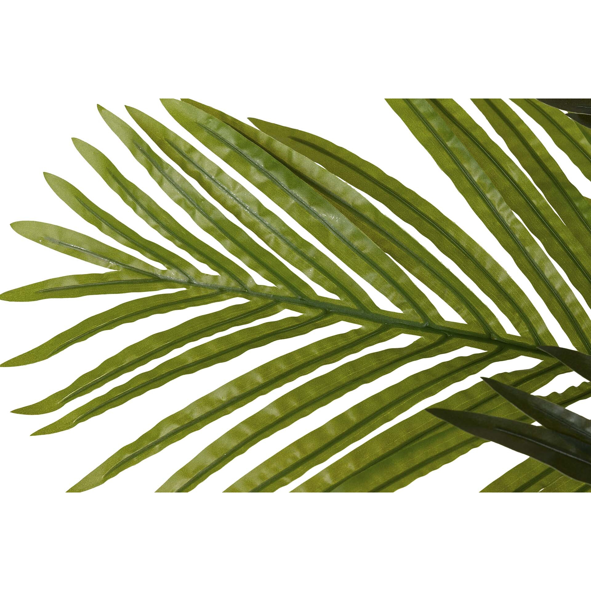 Planta Palmera Con Maceta 75x75x150 Cm