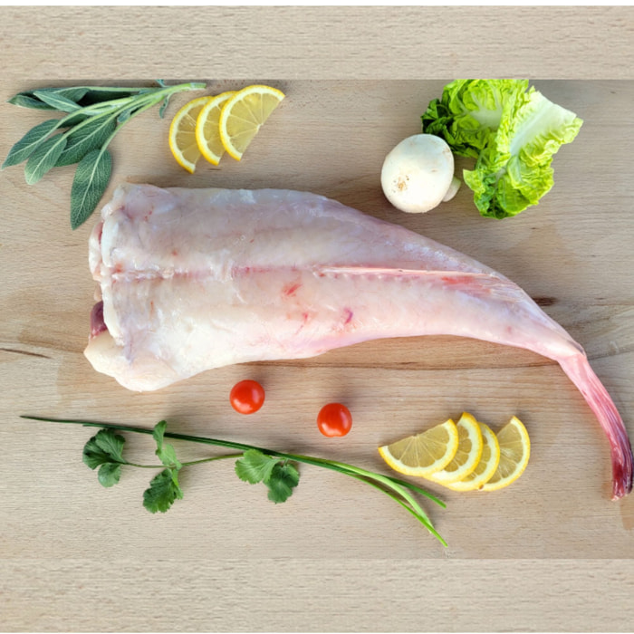 Queue de Lotte - 1,2kg - France - Vives Eaux
