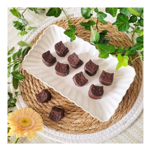 Lot de 6 grandes assiettes rectangulaires, Coquillage