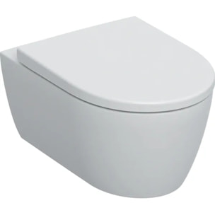 iCon WC suspendu Rimfree avec fixations invisibles, caréné, avec abattant softclose (501.664.00.1)