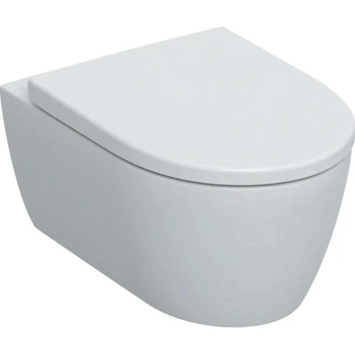 iCon WC suspendu Rimfree avec fixations invisibles, caréné, avec abattant softclose (501.664.00.1)
