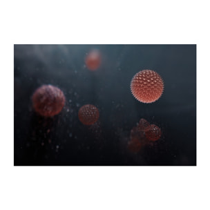 AEG Filtro de protección contra olores y gases Filtro para Multi 7000 AFFBTH2