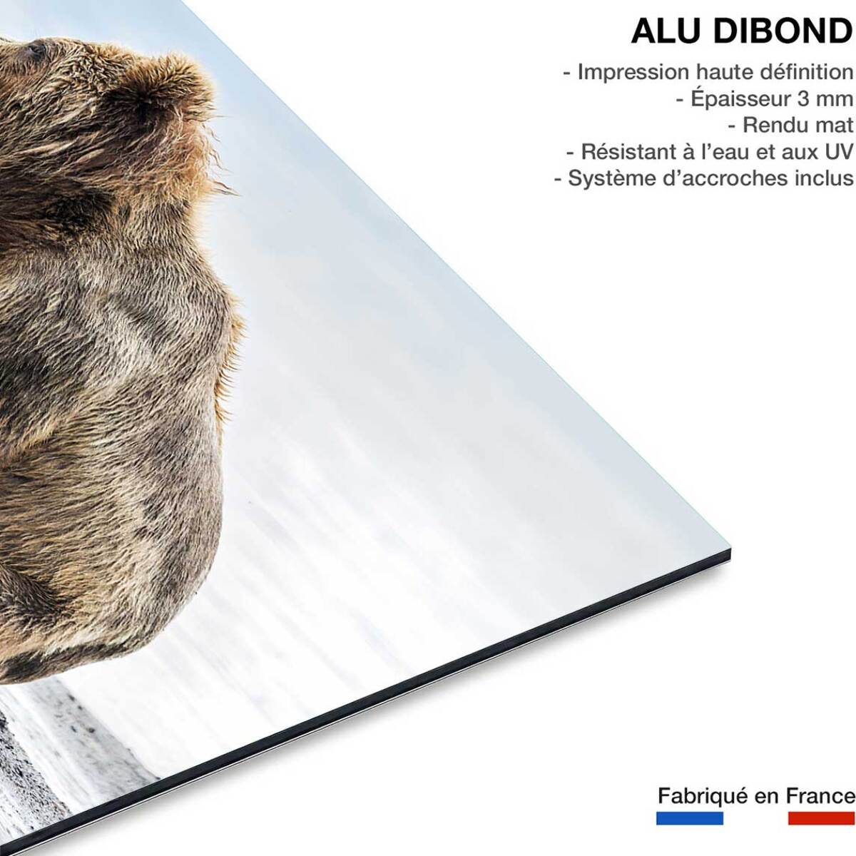Tableau animaux profile Family Tableau alu Dibond