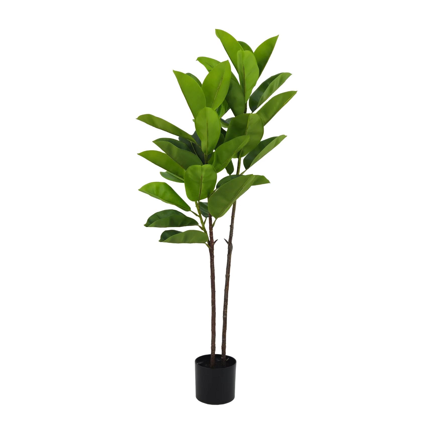 Pianta Ficus Elastica 140 cm