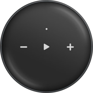 Lecteur réseau HiFi WIIM Mini