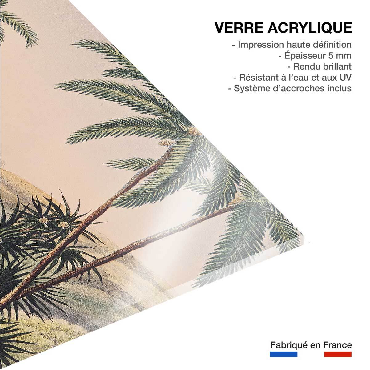 Tableau célèbre tahiti matavae au 19eme siècle  Tableau plexiglas