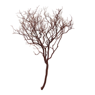 Manzanita Naturale - Pezzi 1 - 48X165X15cm - Colore Naturale - Bianchi Dino -