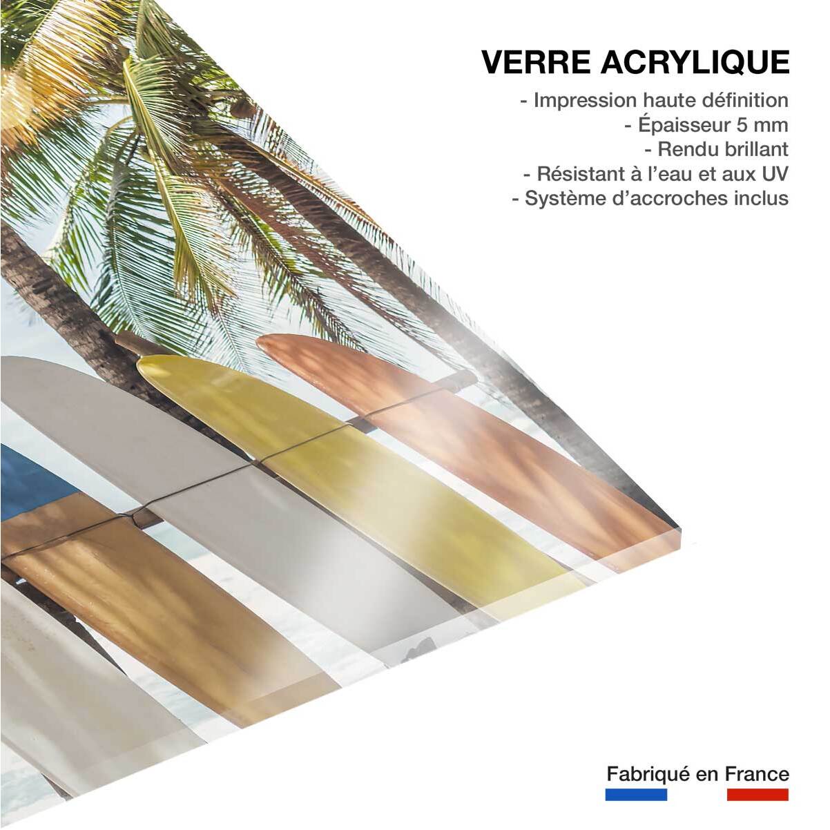 Tableau surf surf et coconut  Tableau plexiglas