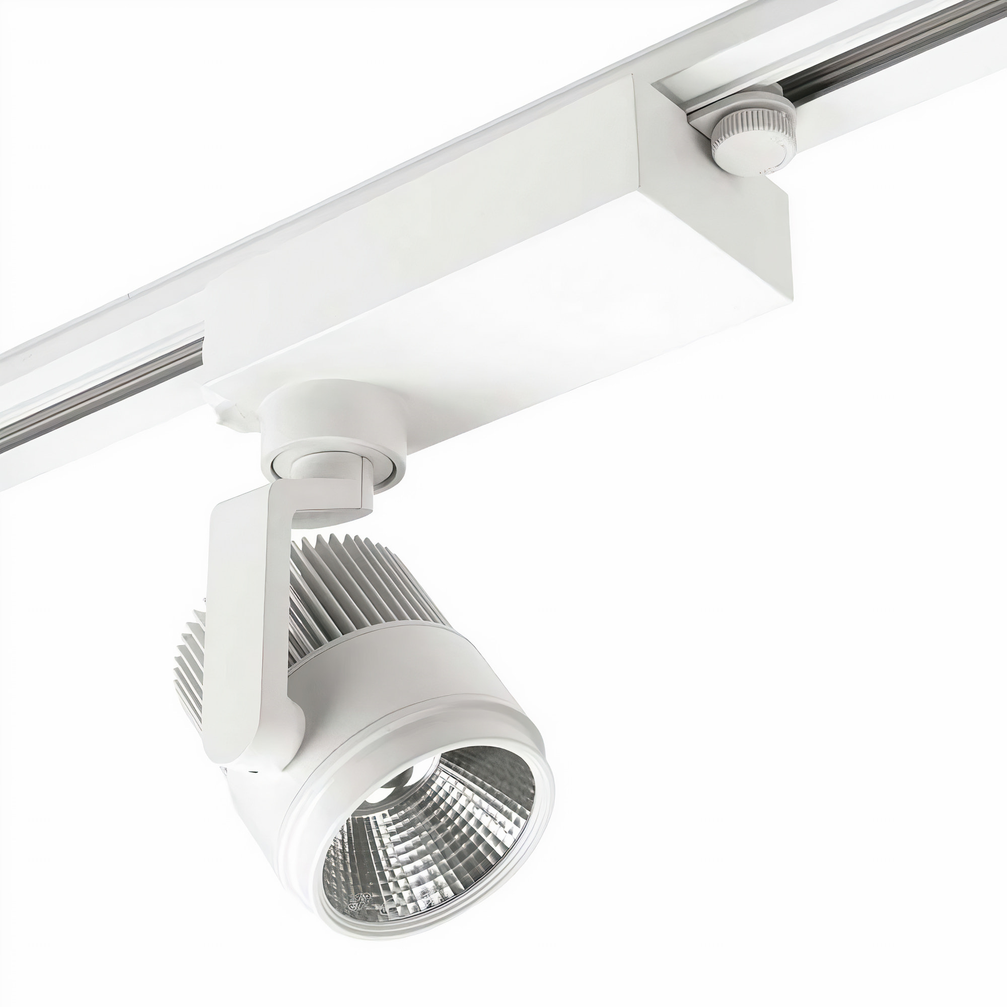 LEDS C4 Proyector Action Food 36.9W Blanco Cálido - 3000K CRI 85 On-Off Blanco 2036Lm
