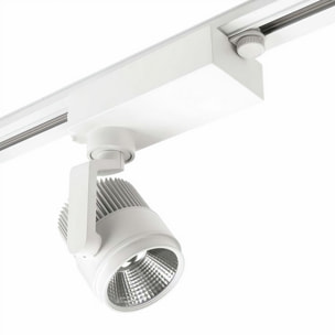 LEDS C4 Proyector Action Food 36.9W Blanco Cálido - 3000K CRI 85 On-Off Blanco 2036Lm