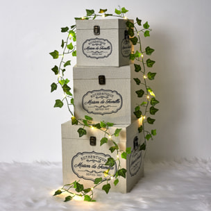 Guirlande Feuille 20 Led 2m