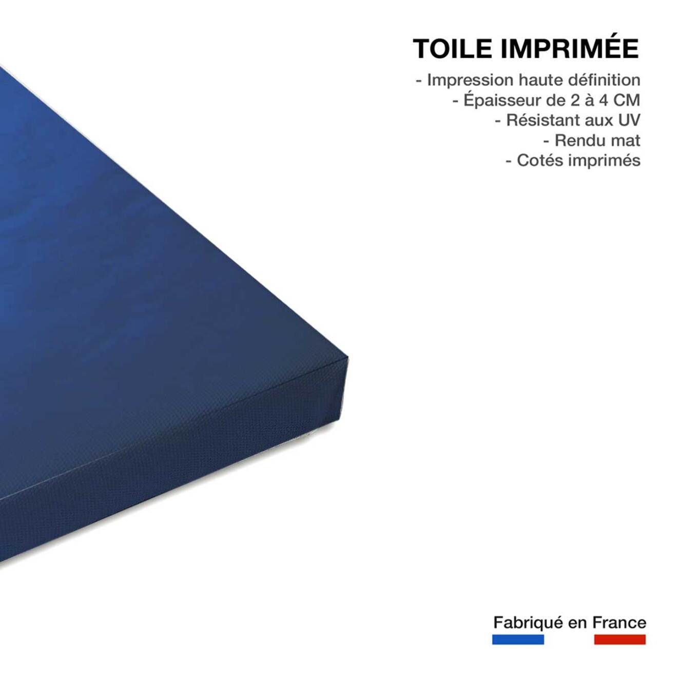Tableau animaux marins raie manta Toile imprimée