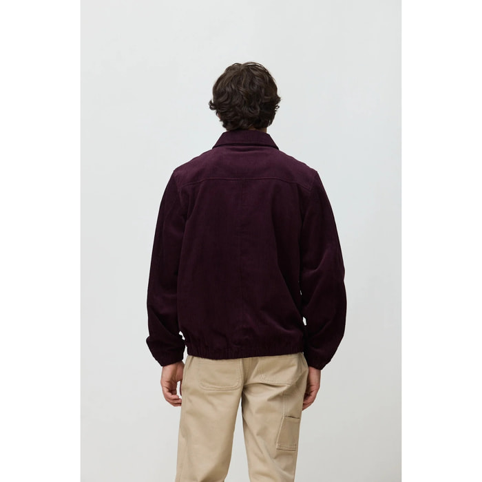 CHAQUETA MILLER CHERRY