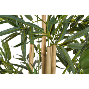 Planta Bamboo Con Maceta 80x80x192 Cm