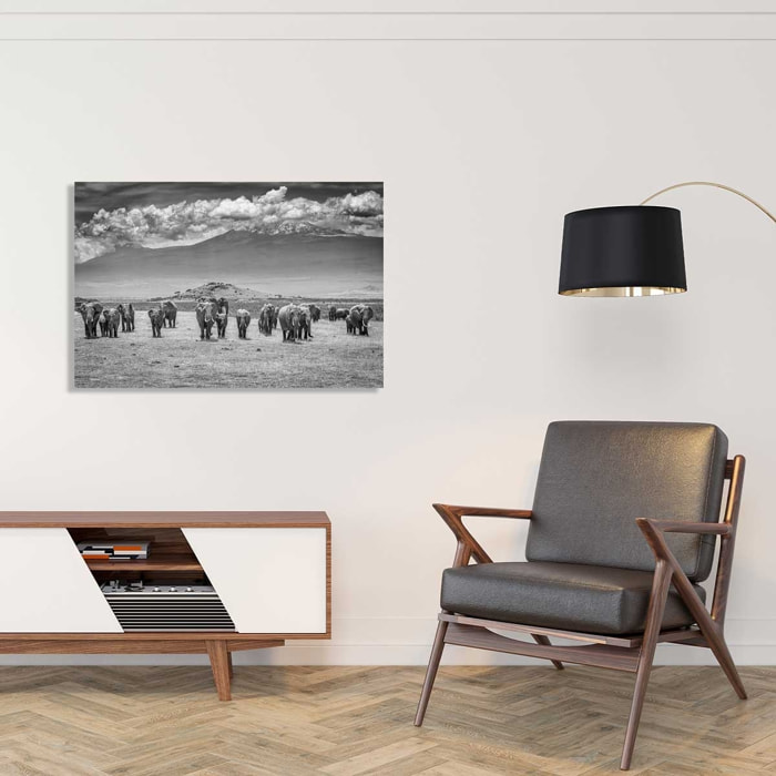 Tableau mysterieux voyage des éléphants Tableau alu Dibond