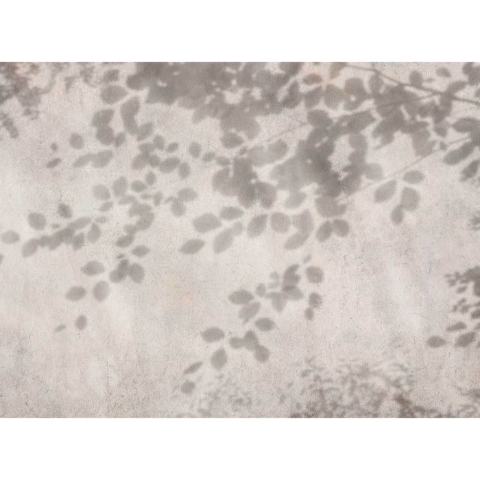 Papier peint panoramique Ombres d'Hêtre Intissé