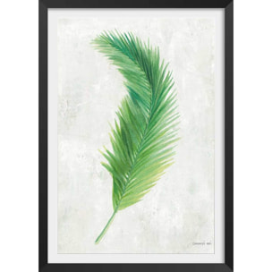 Affiche palme tropicale illustrée Affiche + cadre en bois - Noir