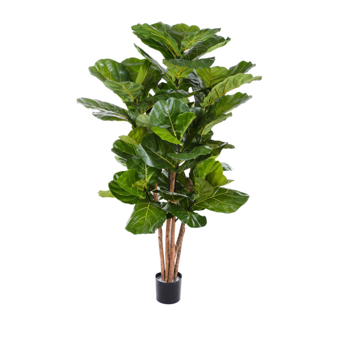 Ficus Lyrata. Altezza 180 Cm - Pezzi 1 - 110X180X110cm - Colore: Verde - Bianchi Dino - Piante Artificiali