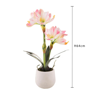 Amaryllis Con Vaso. Altezza 64 Cm - Pezzi 1 - 36X64X25cm - Colore: Rosa - Bianchi Dino - Piante Artificiali