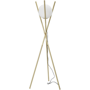 LAMPADA DA TERRA GLAMY X CM Ø 55x155