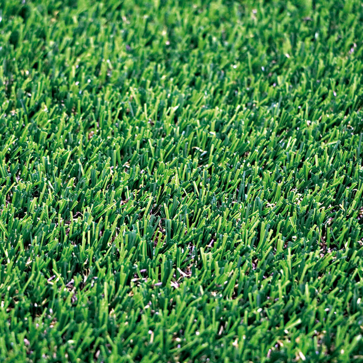 Césped Artificial Dénia X-tra 20 Mm