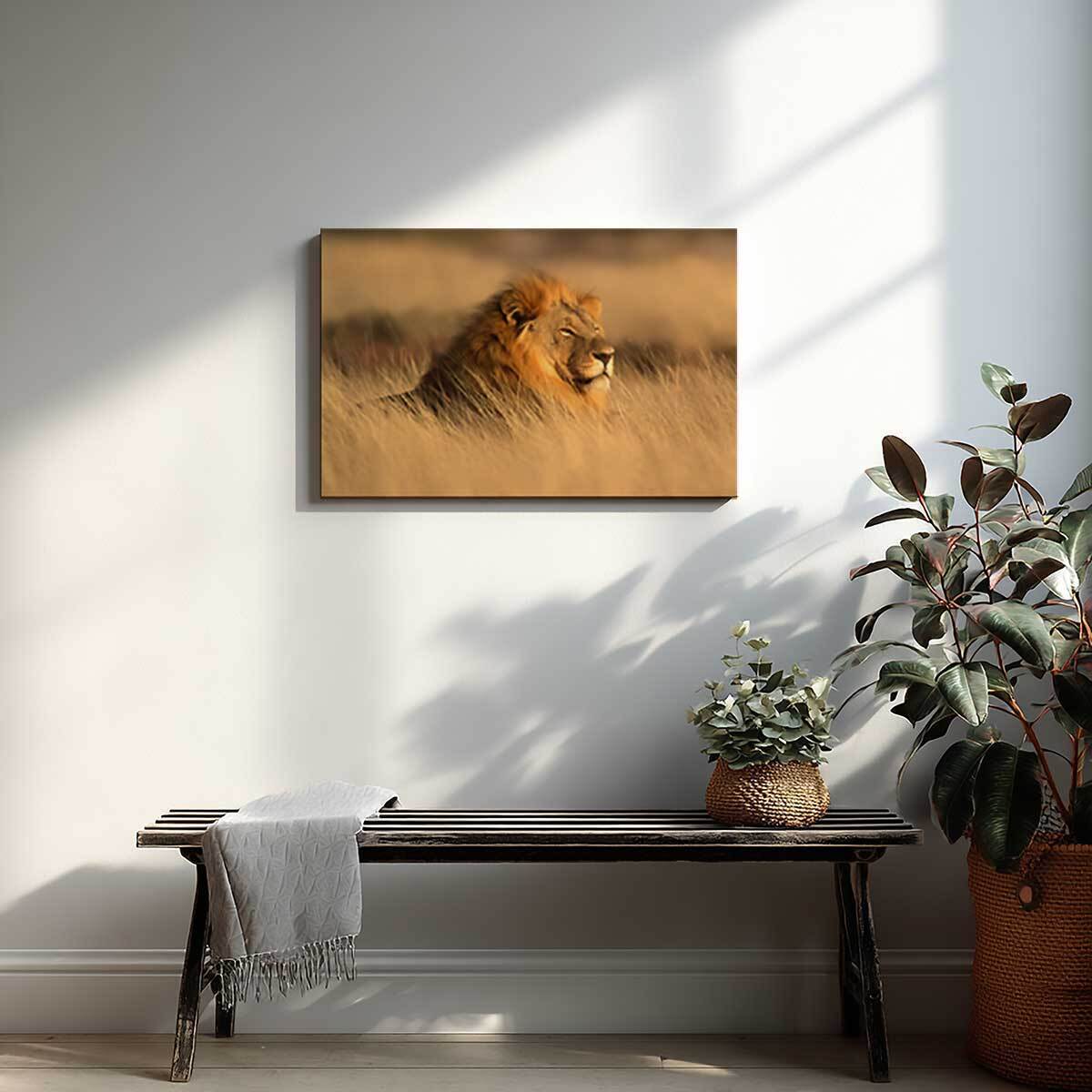 Tableau lion majestueux dans la savane dorée Toile imprimée