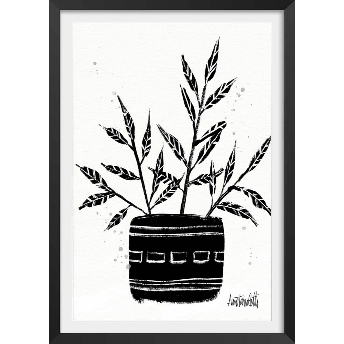 Illustration Botanique et Poterie terre cuite Affiche + cadre en bois - Noir