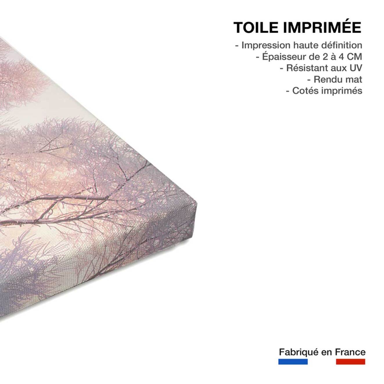 Tableau paysage Christmas lac Toile imprimée