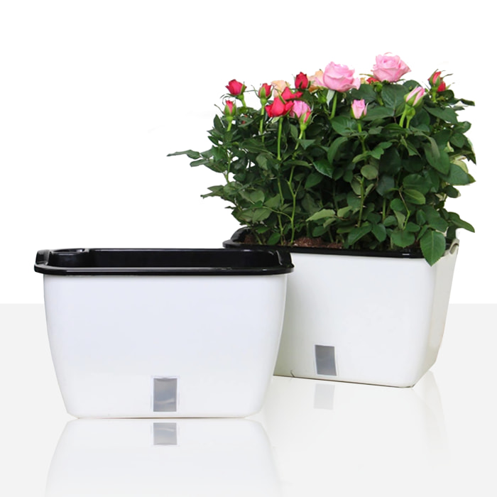 Tomasucci Vaso autoinnaffiante per esterno / interno DAHLIA SMALL multicolore