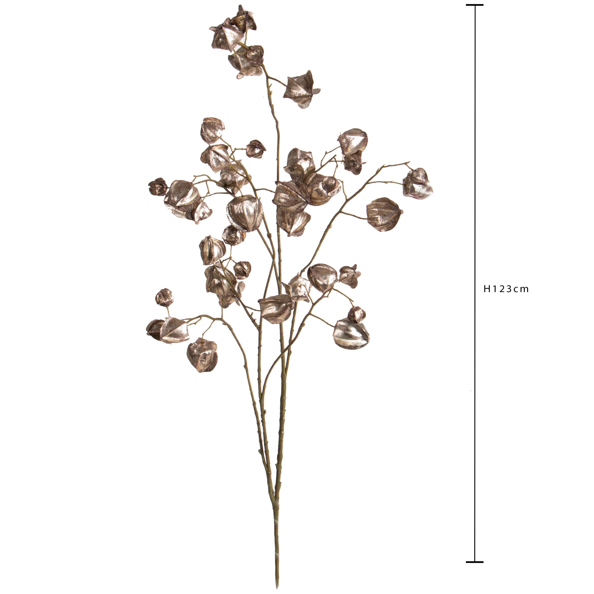 Ramo phisalis - Pezzi 6 - 22xH123x0,3cm - Bianchi Dino SpA