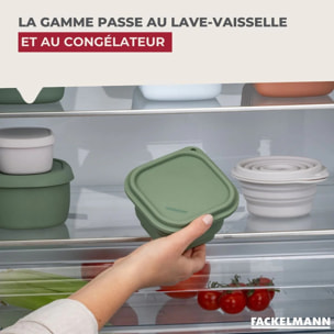 Lot de 4 Boîtes à Snacks Pliables en Silicone Vert et Set de 3 Boîtes à Sauce Fackelmann Storage