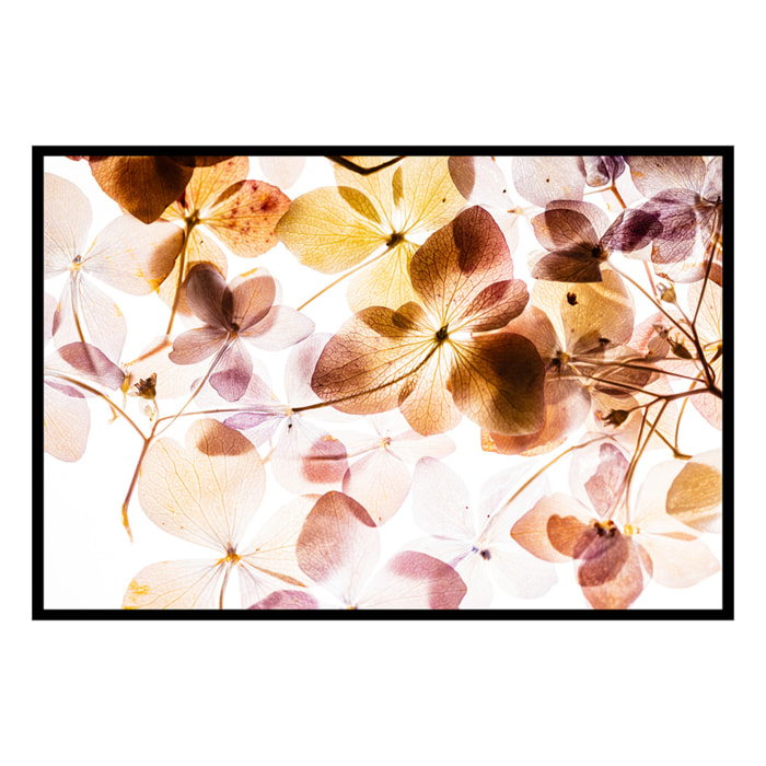 Affiche encadrée Fleurs translucides Affiche + cadre en métal - Noir