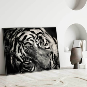 Affiche encadrée tigre noir et blanc Affiche + cadre en métal - Noir