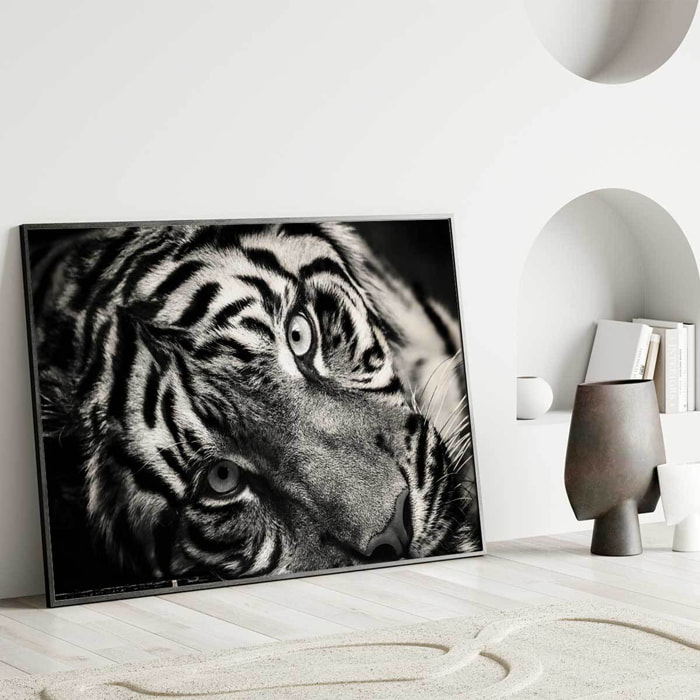 Affiche encadrée tigre noir et blanc Affiche + cadre en métal - Noir