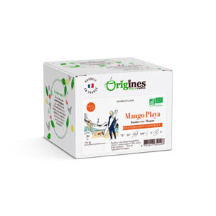 Mango Playa - Rooïbos vert Bio mangue - Infusettes 15x2g