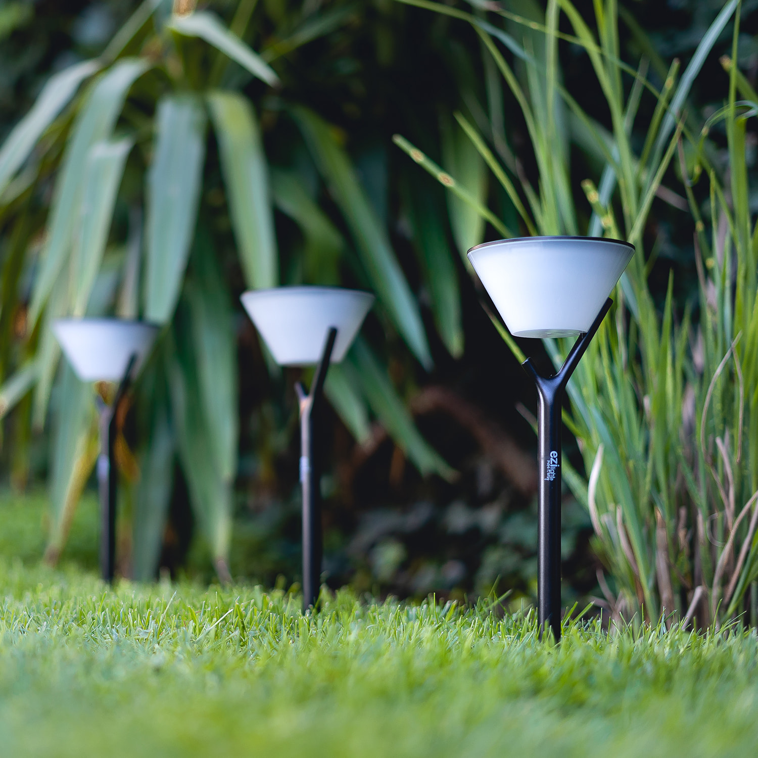 EZIlight® Solar peaky cup - Pack de 4 lampes